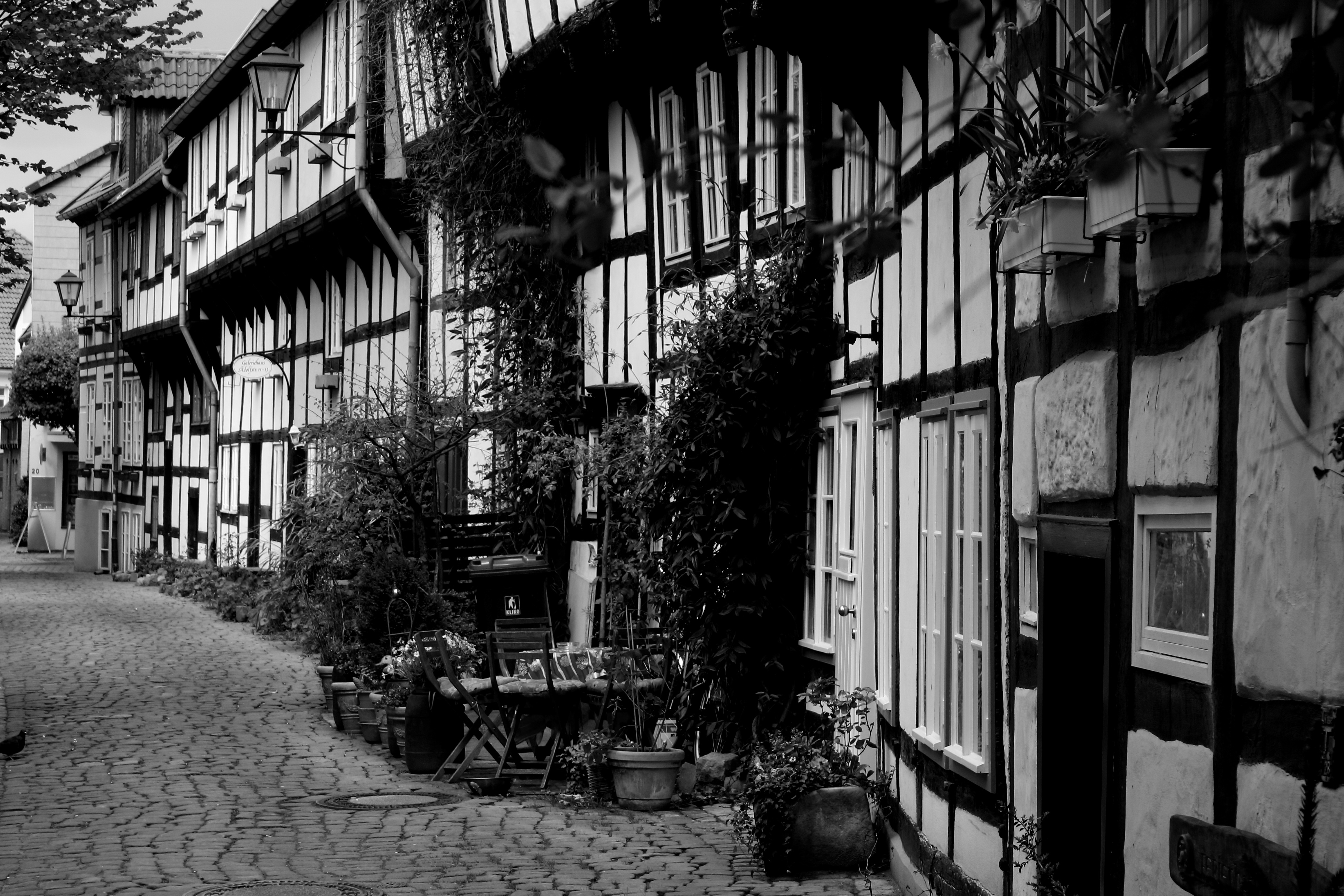 Detmold Detmold